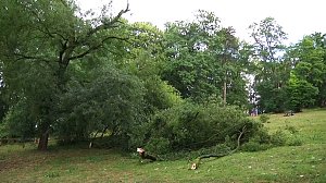 In den Morgenstunden wurde im Landkreis Nordhausen mit den Aufr&auml;umarbeiten begonnen