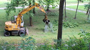 Schlosspark Sondershausen gesperrt 