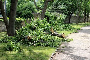 Schlosspark Sondershausen gesperrt 