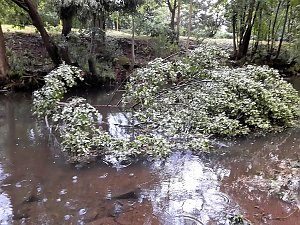 Unwettersch&auml;den in Nordhausen