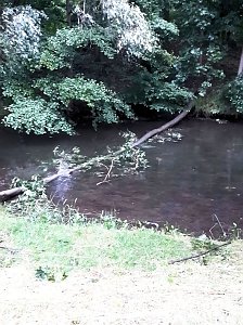 Unwettersch&auml;den in Nordhausen