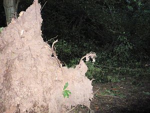 Unwettersch&auml;den in Nordhausen