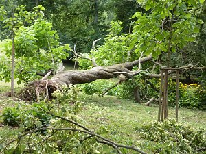Unwettersch&auml;den in Nordhausen