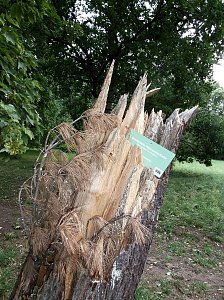 Unwettersch&auml;den in Nordhausen