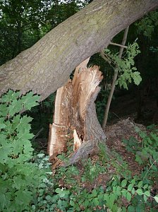 Unwettersch&auml;den in Nordhausen