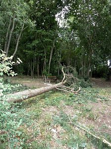 Unwettersch&auml;den in Nordhausen