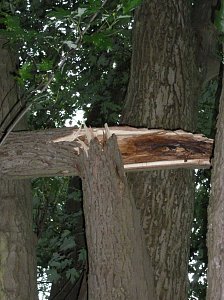Unwettersch&auml;den in Nordhausen