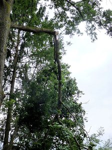 Unwettersch&auml;den in Nordhausen