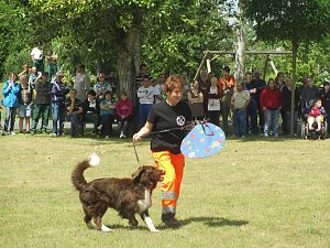 Teamdogs zu Besuch