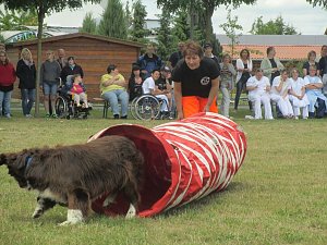 Teamdogs zu Besuch