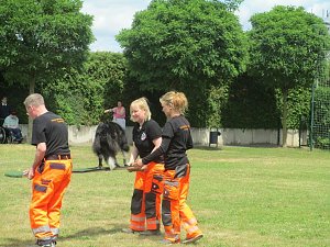 Teamdogs zu Besuch