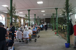 Festumzug in Heringen