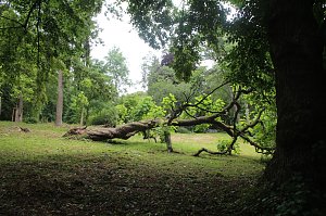Im Park Hohenrode wurde heute das 10j&auml;hrige Jubil&auml;um des F&ouml;rdervereins gefeiert