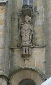 Der Tausendj&auml;hrige Rosenstock