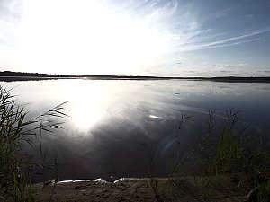 Impressionen am Muldenstausee