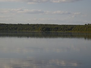 Impressionen am Muldenstausee