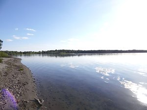 Impressionen am Muldenstausee