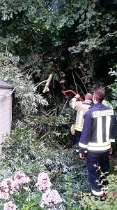 Sturmsch&auml;den im M&auml;usetal