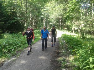 Harz-Hunderter EXTREM