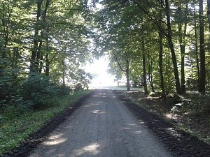 Harz-Hunderter EXTREM