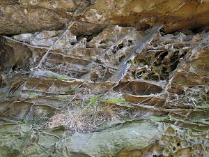 Unterwegs im Harz: Teufelsmauer und Teufelszeug