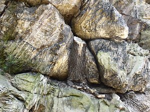 Unterwegs im Harz: Teufelsmauer und Teufelszeug
