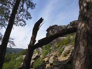 Unterwegs im Harz: Teufelsmauer und Teufelszeug