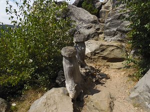 Unterwegs im Harz: Teufelsmauer und Teufelszeug