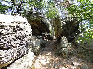 Unterwegs im Harz: Teufelsmauer und Teufelszeug