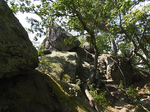 Unterwegs im Harz: Teufelsmauer und Teufelszeug