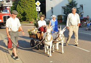 Festumzug in Obertopfstedt