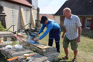 Zaun erneuert