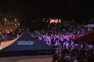 Harzer Sommertage