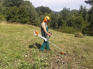 Pflegeeinsatz des BUND