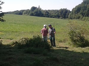 Pflegeeinsatz des BUND
