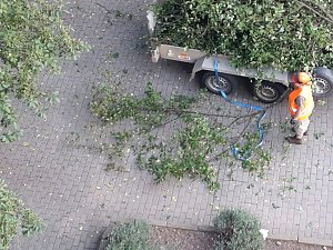 Nur Aus&auml;sten, Lichtraumprofile herstellen, sagt der Fachmann