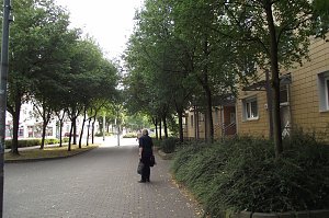 � Wie ein gr&uuml;ner Korridor wirkt der Bereich in der T&ouml;pferstra&szlig;e. In Hitzeperioden empfindet man ihn als angenehm.