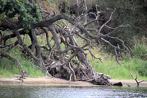 Entdeckungen an der Mulde