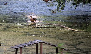 Entdeckungen an der Mulde