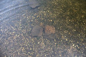 Entdeckungen an der Mulde
