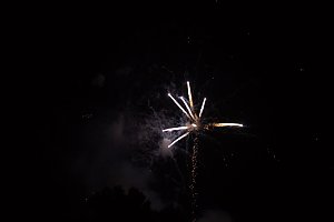 20. EVN-Party - der Abend