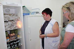 Auf Spenden angewiesen