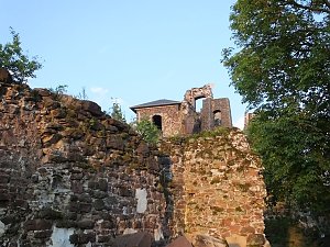 Zu Besuch auf der Burgruine Hohnstein