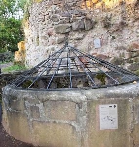 Zu Besuch auf der Burgruine Hohnstein
