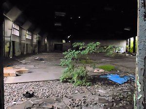 Unwirkliche Orte: Lokschuppen bei Bitterfeld