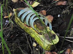 Unwirkliche Orte: Lokschuppen bei Bitterfeld