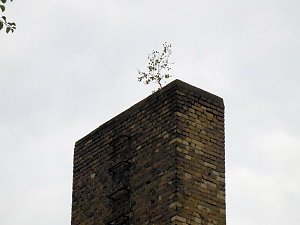 Unwirkliche Orte: Lokschuppen bei Bitterfeld