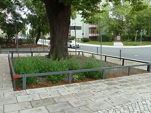 Es gr&uuml;nt so gr&uuml;n...