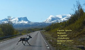 Bilder aus Schweden beeindruckten.