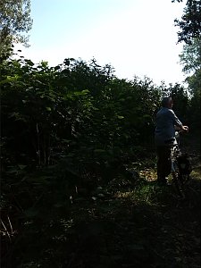 Fahrrad-Exkursion entlang Zorge und Helme